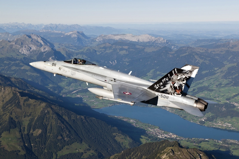 1/72 F/A - 18 Hornet Tiger Meet 2012