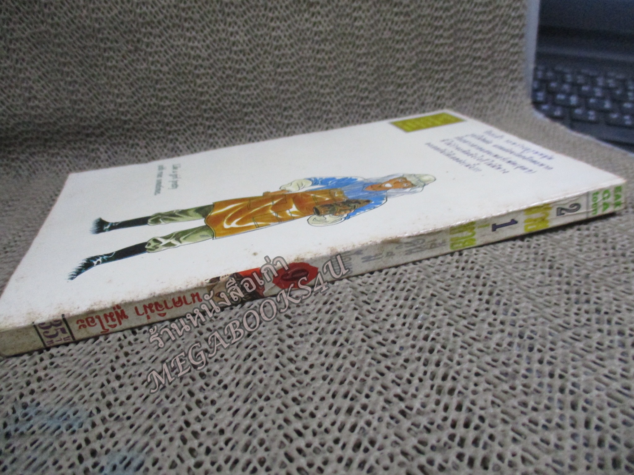 การ์ตูนบ้าน 2สวย1ห่วย เล่ม09 สนพ. EAK CARTOON / มีสนิมกระดาษขึ้น ประปราย