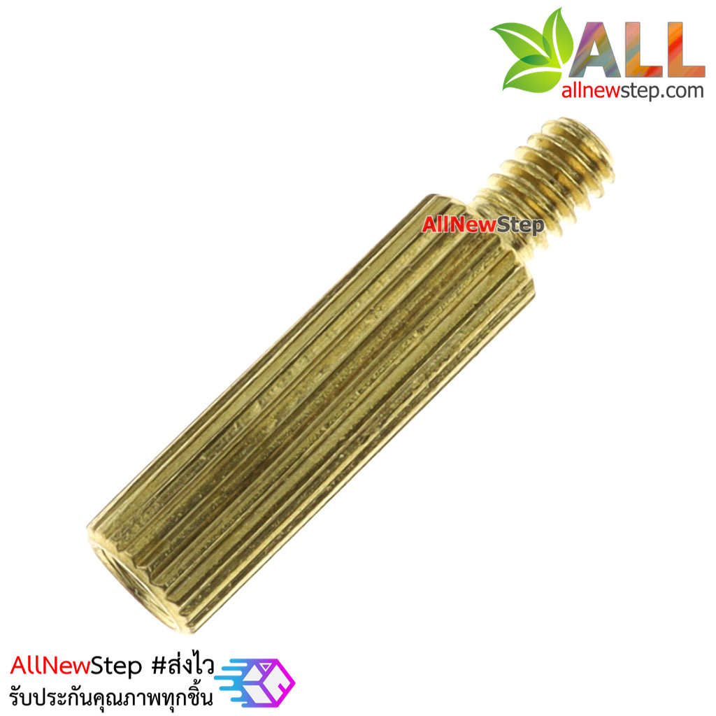 น็อตทองเหลือง NUT M2 ขนาด 10+3mm
