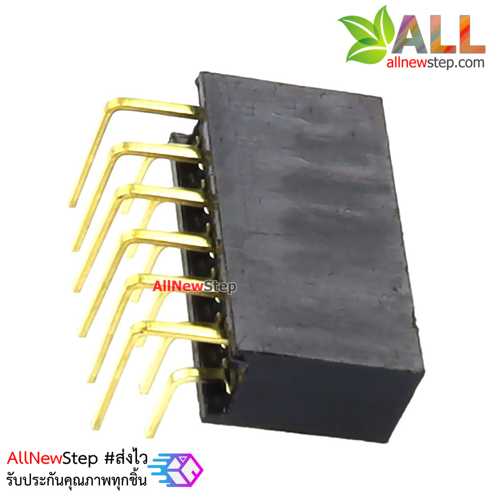 ขาก้างปลาตัวเมียแบบฉาก 2x6 ขา Double Row Hole Jack 2x6 PIN Header 2.54mm
