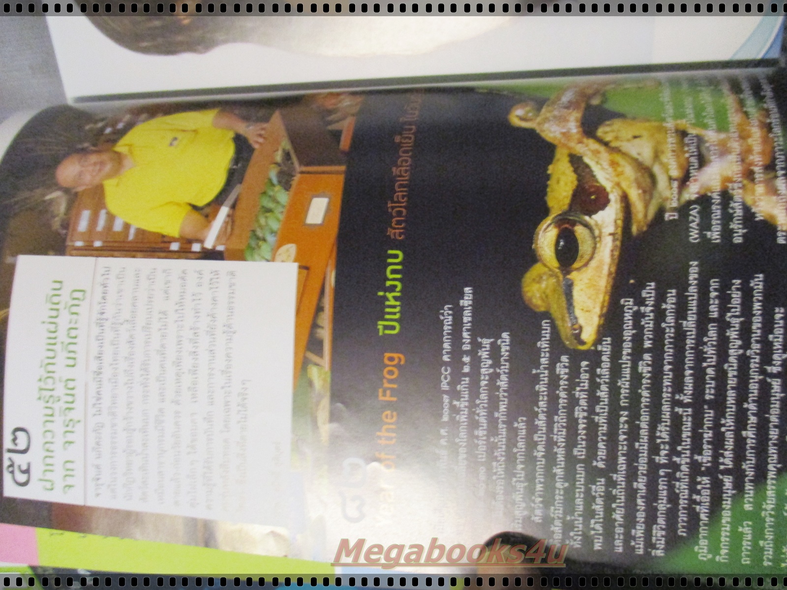 นิตยสารสารคดี ฉบับที่286 ปีที่24 ธันวาคม 2551 ปีแห่งกบ,จารุจินต์ นภีตะภัฏ,ส่งเสด็จพระพี่นาง,