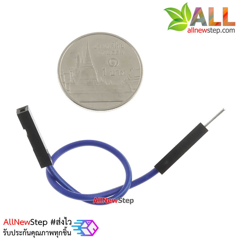 สายจัม ผู้-เมีย Jump Wire (Male to Female) สายไฟ ยาว 20cm. คละสี จำนวน 1 เส้น
