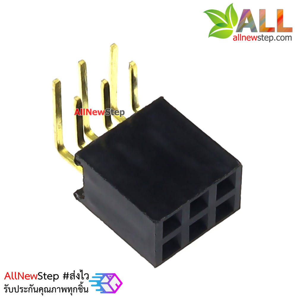 ขาก้างปลาตัวเมียแบบฉาก 2x3 ขา Double Row Hole Jack 2x3 PIN Header 2.54mm