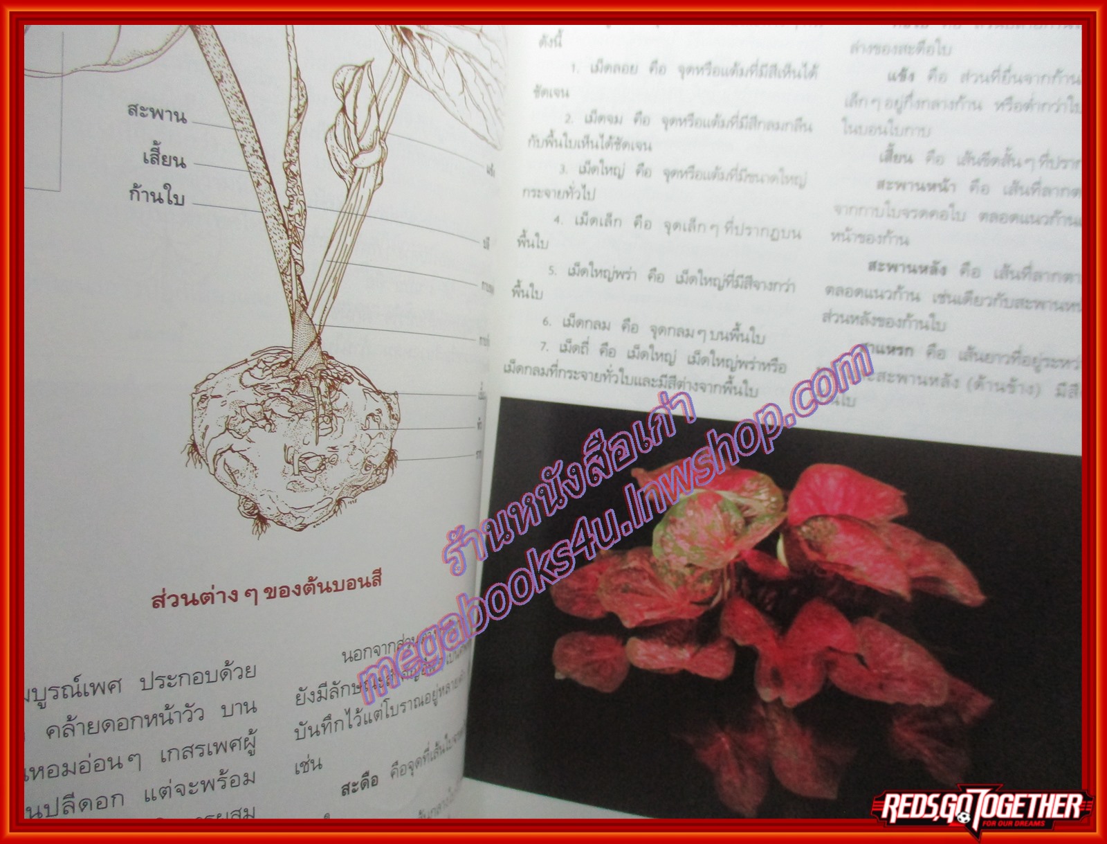 หนังสือ สารานุกรมไม้ประดับในประเทศไทย เล่ม 1