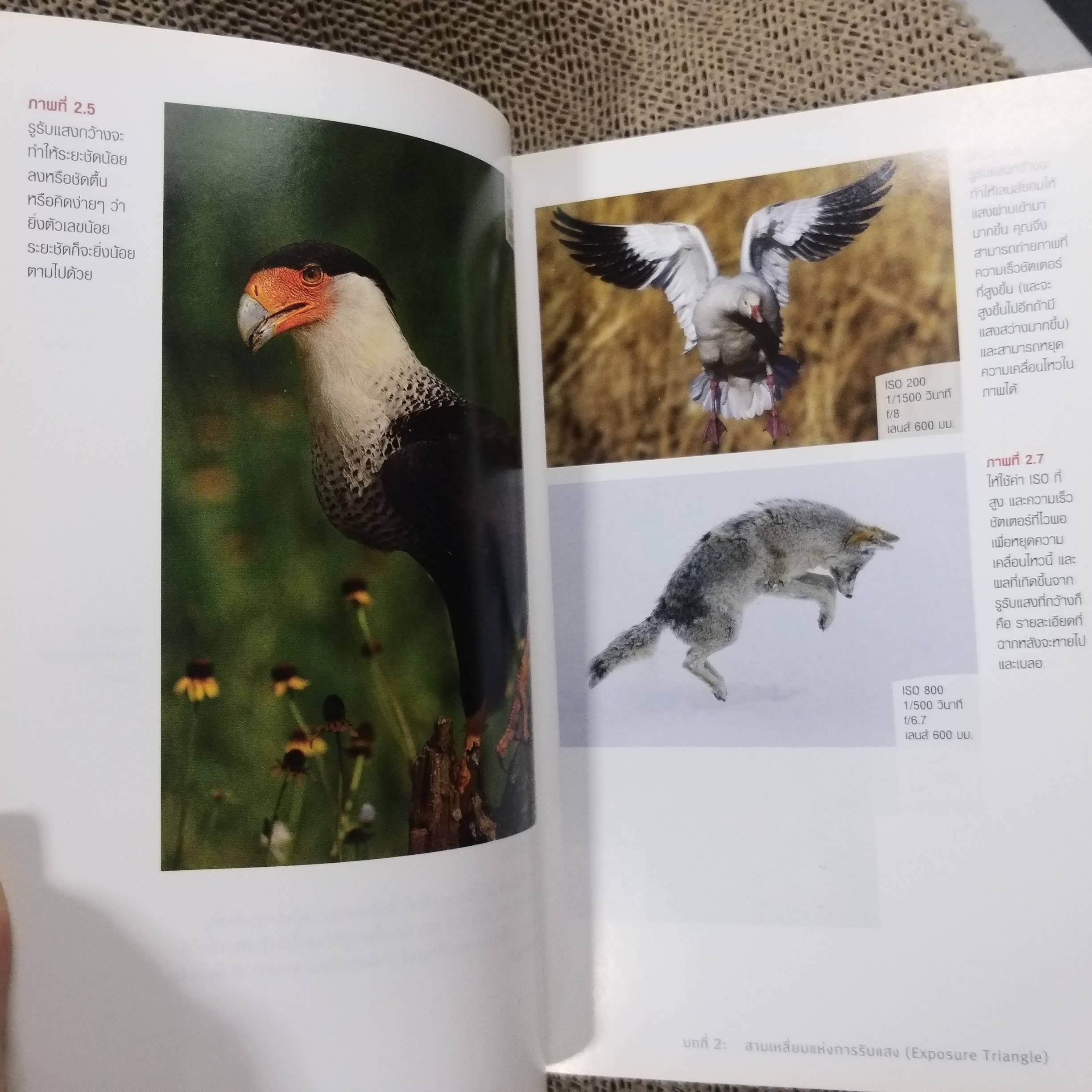 ถ่ายภาพให้เฉียบสวยด้วยองค์ประกอบศิลป์/ ลอรี่ เอ็กเซล และคณะ /แปลโดย สุวัฒน์