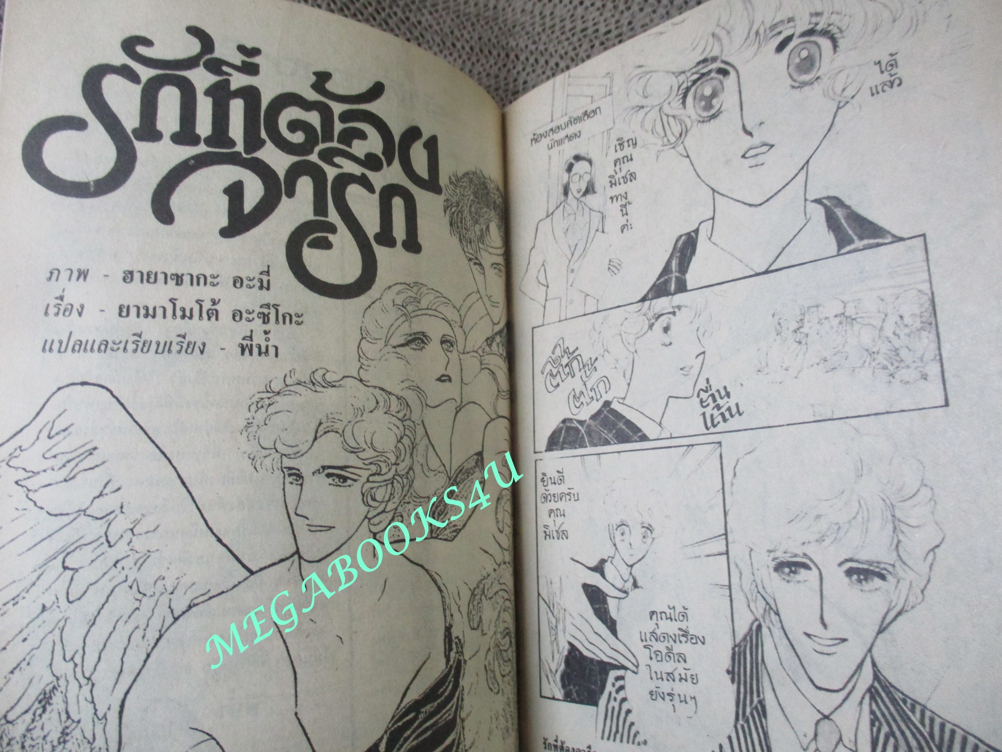 การ์ตูนบ้าน รักที่ต้องจารึก / ฮายาซากะ อะมี่ / เล่มเดียวจบ / สยามฯ /