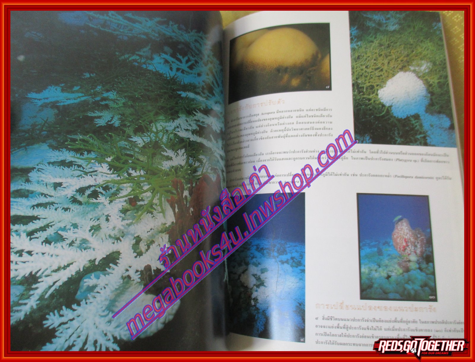 นิตยสารสารคดี ฉบับที่168 ปี2542 ปะการังฟอกขาว ป่าหน่อไม้