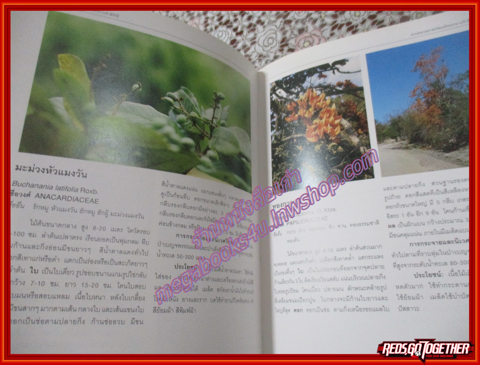 สวนพฤกษศาสตร์สมเด็จพระนางเจ้าสิริกิตติ์ QUEEN SIRIKIT BOTANIC GARDEN เล่ม1 องค์การสวนพฤกษศาสตร์