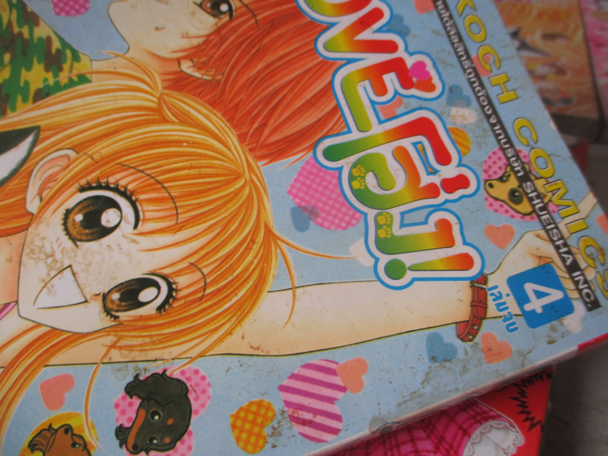การ์ตูน LOVEโฮ่ง ครบชุด4เล่มจบ โดยRYO AZUKI สนพ.บงกช เล่ม4มีคราบน้ำที่ปกนิด