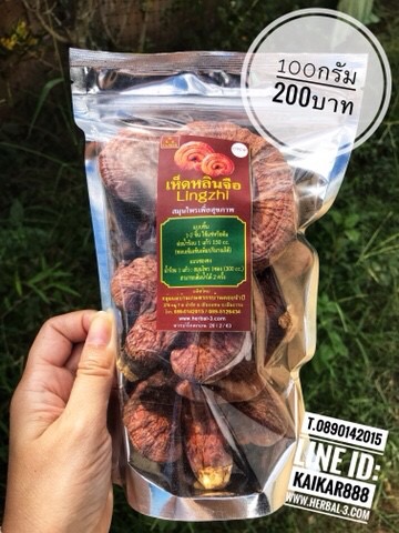 เห็ดหลินจือแดง (แบบดอก) 100กรัม
