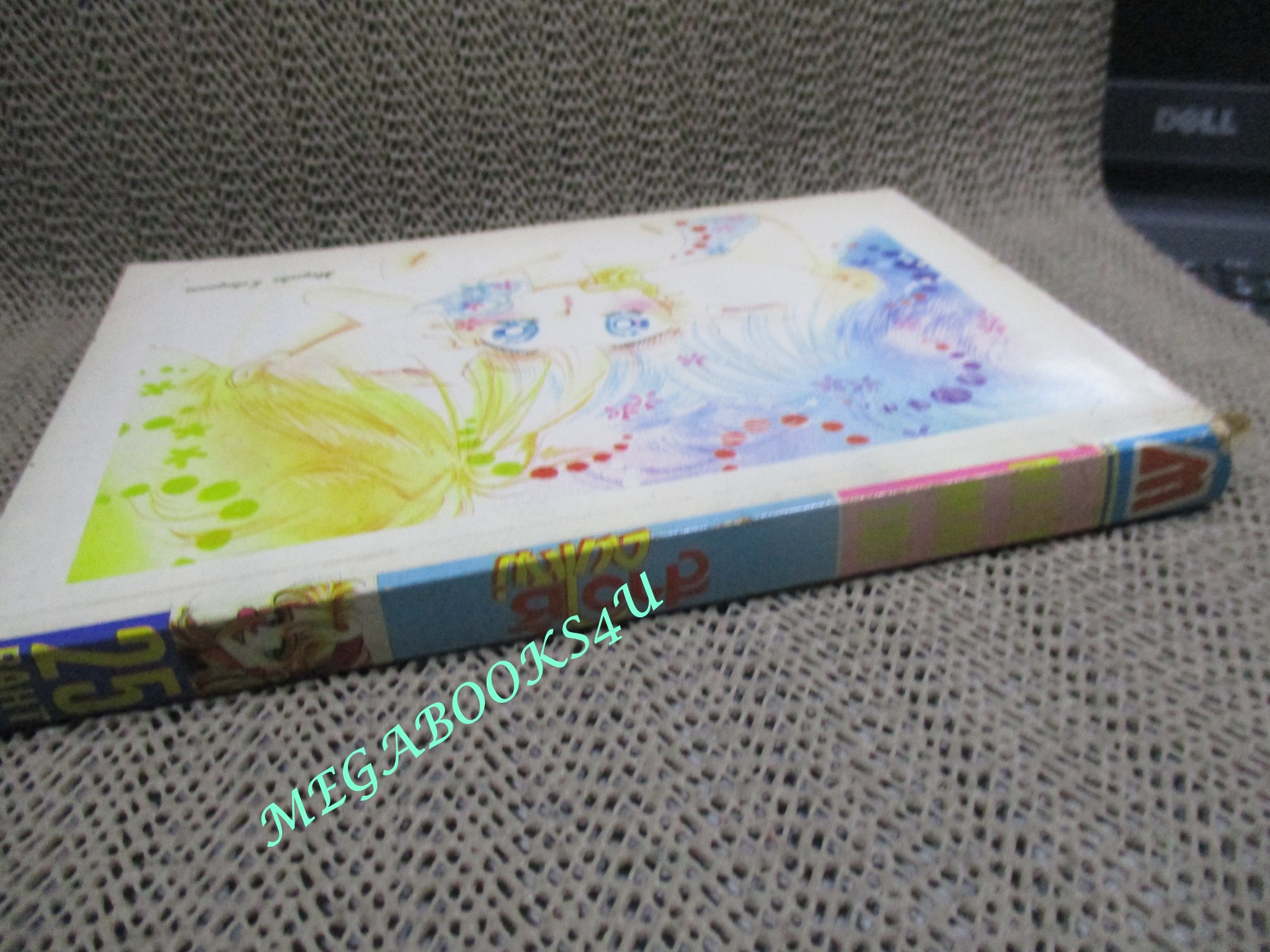 สาวใช้คนใหม่ โดย OGURA FUYUMI เล่มเดียวจบ สนพ.มิตรไมตรี