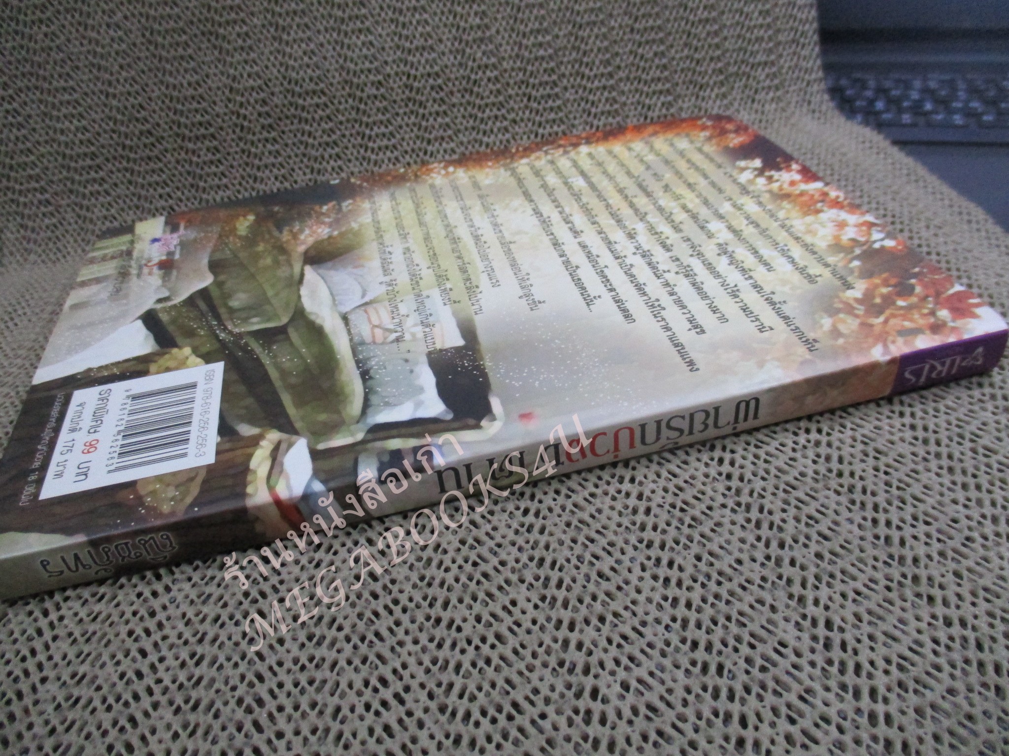 นิยาย พ่ายรักบ่วงซาตาน / ณิชภัทร / Iris / 18+