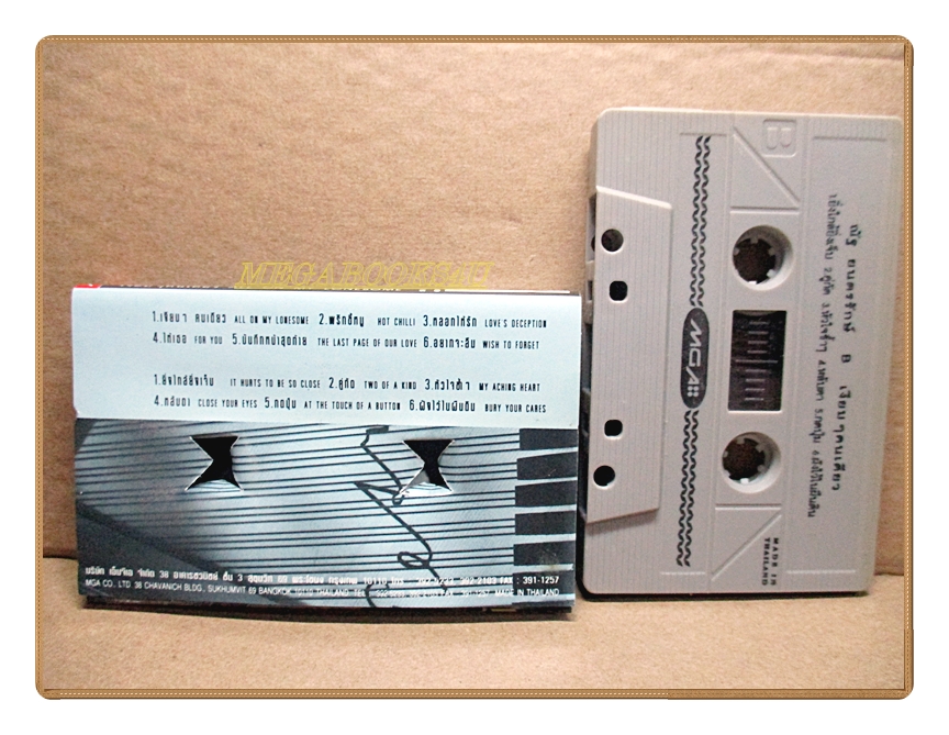 เทปเพลงบรรเลง ณัฐ ยนตรรักษ์ ชุด เงียบๆคนเดียว