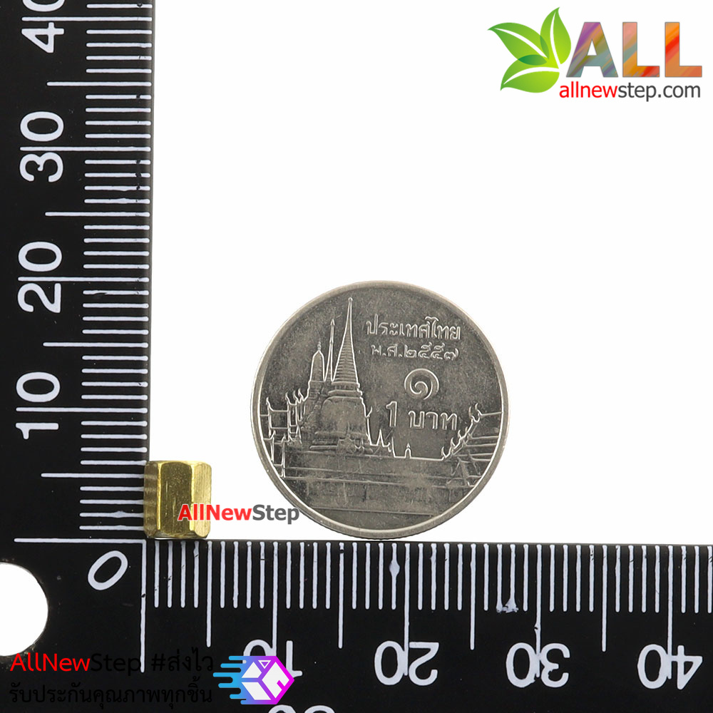 ชุดน็อต+สกรู M3 Pack Nut screw copper column 6+6 10+6 15+6 M3 nut 3x6 screw 6MM hollow 10MM hollow