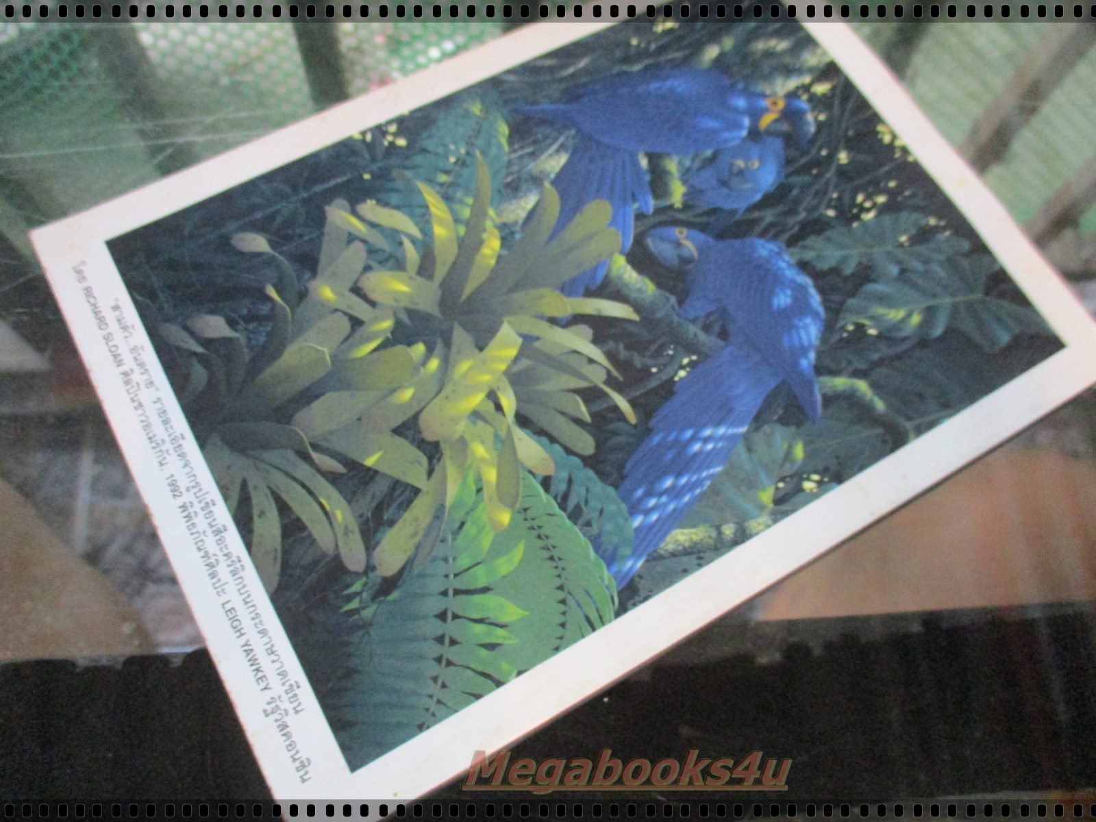 หนังสือ ReaDer's Digest สรรสาระ ฉบับที่ 1997/08 สิงหาคม 2540