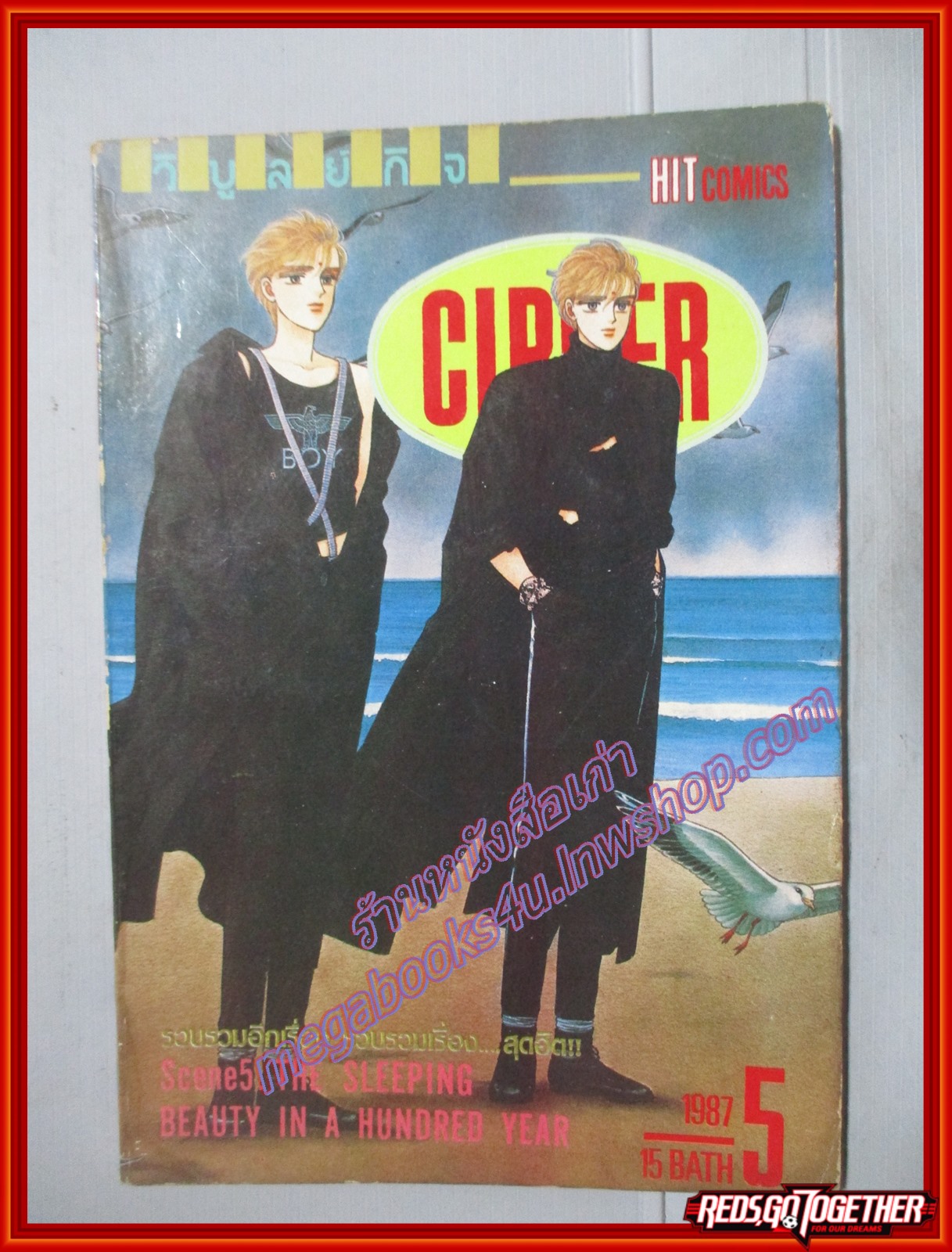 การ์ตูนบ้าน CIPHER ไซเฟอร์ เล่ม05 โดย MINAKO NARITA วิบูลย์กิจ สภาพดี