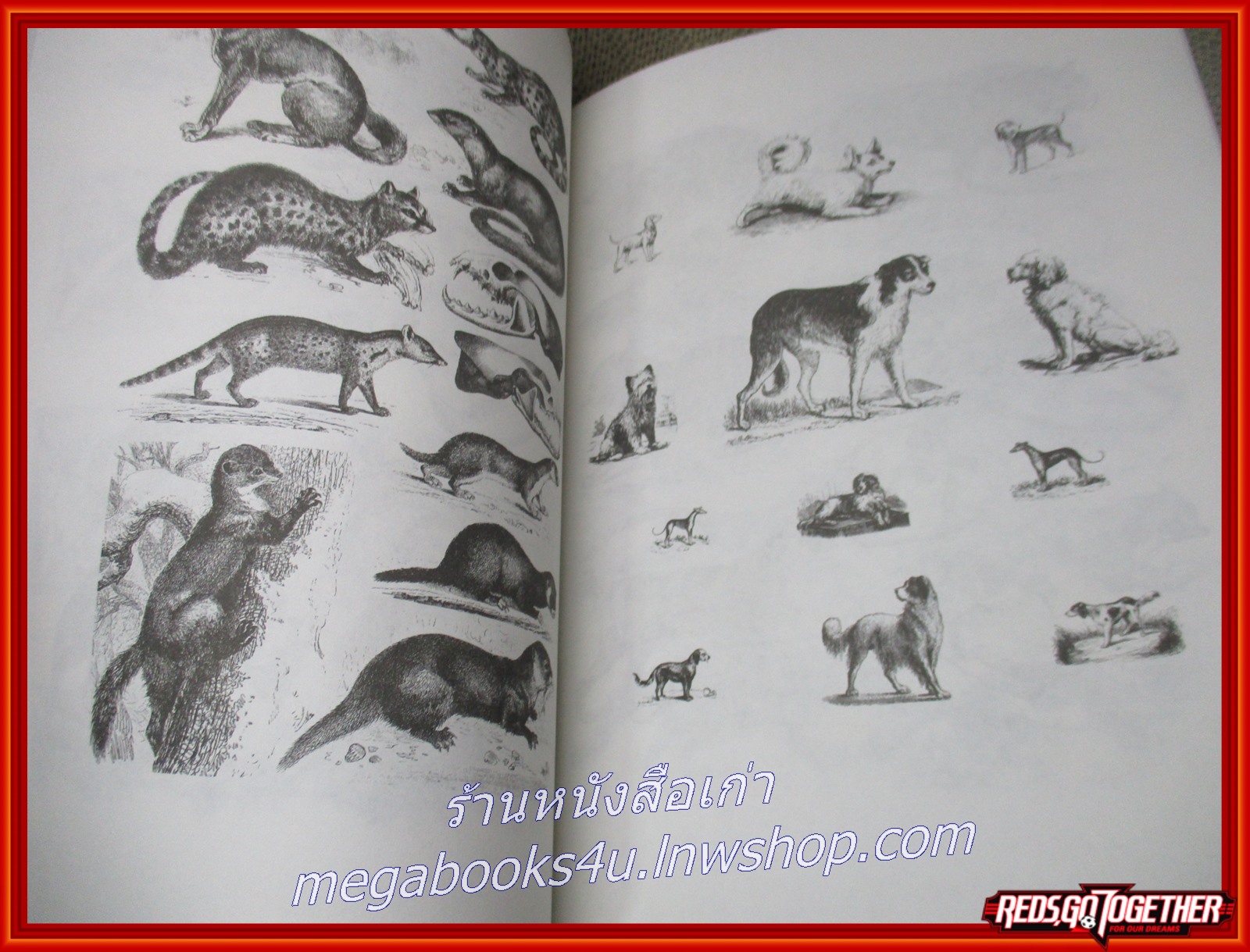 หนังสือ วิจิตรศิลป์ 2 / สนพ.วาดศิลป์ / ภาพลายเส้น สัตว์ ชนิดต่างๆ