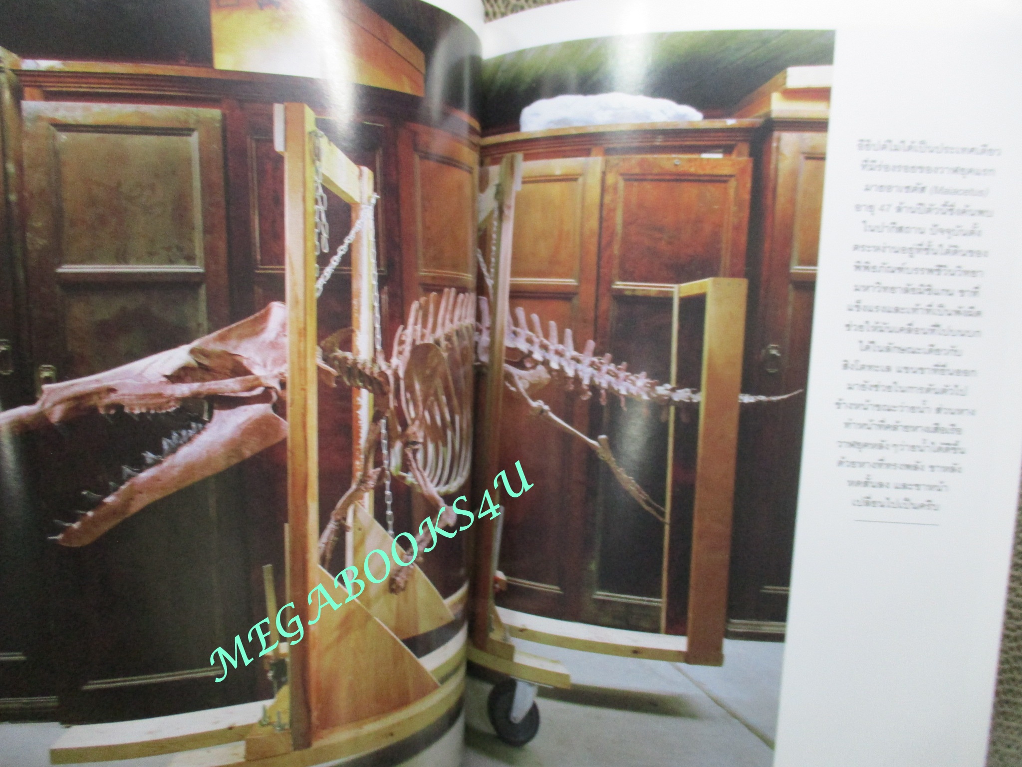 นิตยสาร เนชั่นแนลจีโอกราฟิก National Geographic ฉบับ109 2553 บุโรพุทโธ , มรดกไทย มรดกโลก