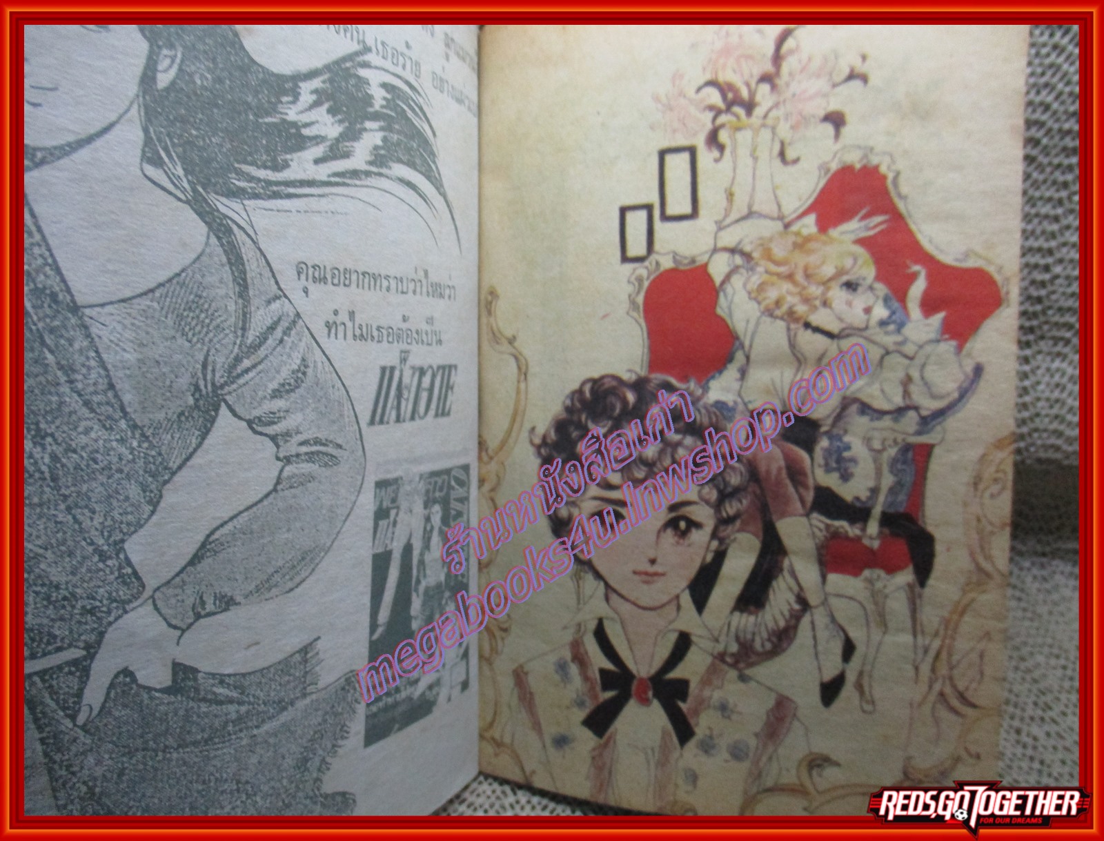 การ์ตูนบ้าน สามสาวแสนเปรี้ยว เล่มเดียวจบ (มีภาพสีแทรก)