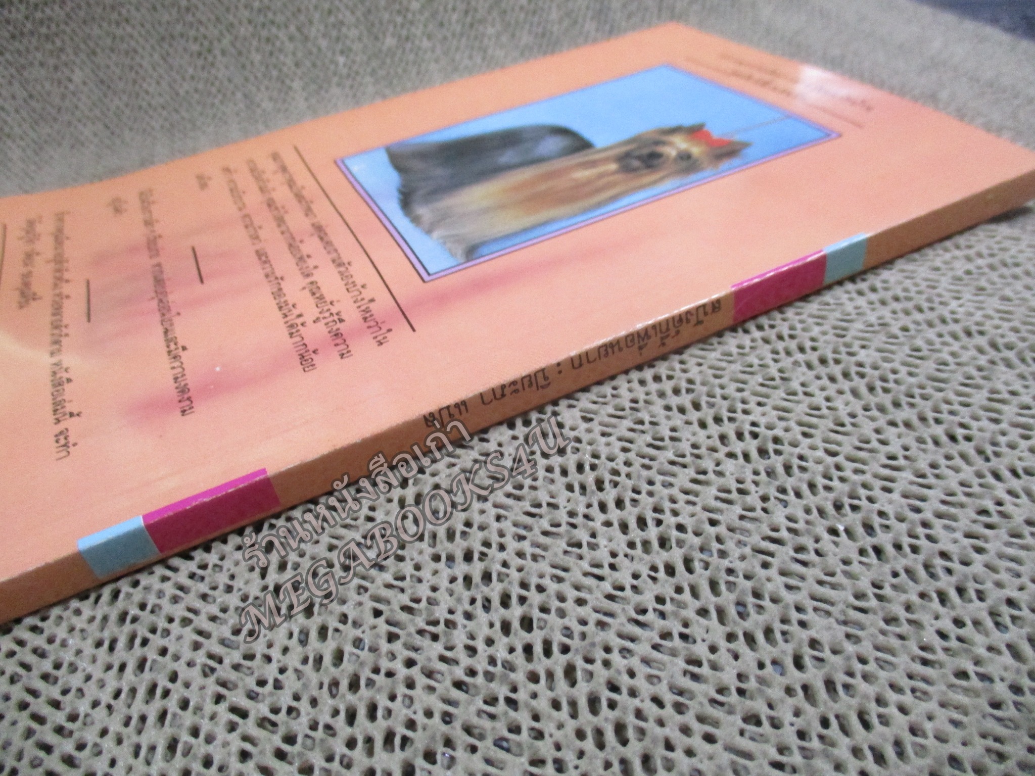 สปังค์กี้เพื่อนยาก SPUNKY ของ โดริ บริงค์ · ปิยะภา แปล