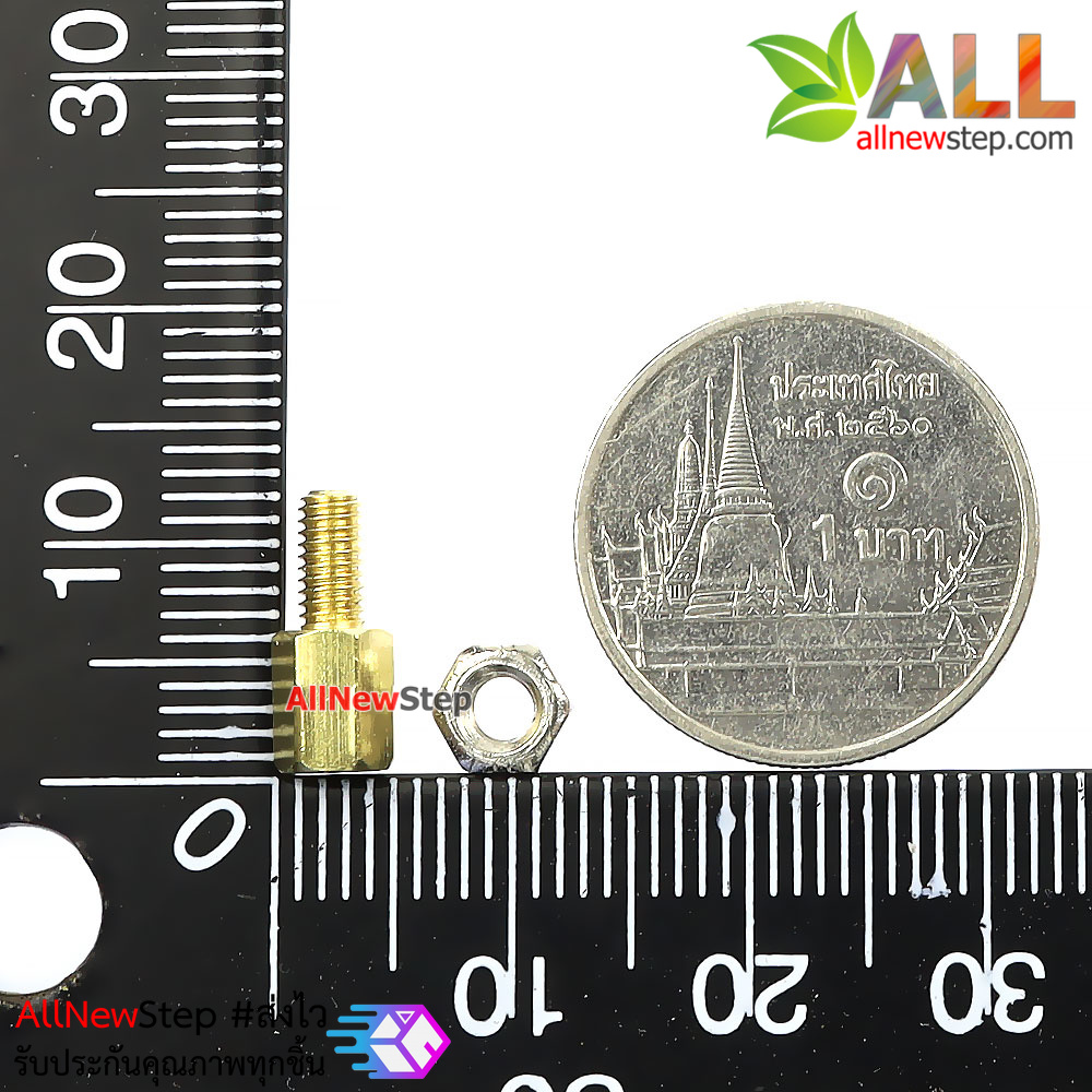 น็อตทองเหลืองตัวผู้และตัวเมีย 3mm 6+6mm Pillars Nut M3 m3 6+6 จำนวน 10 คู่