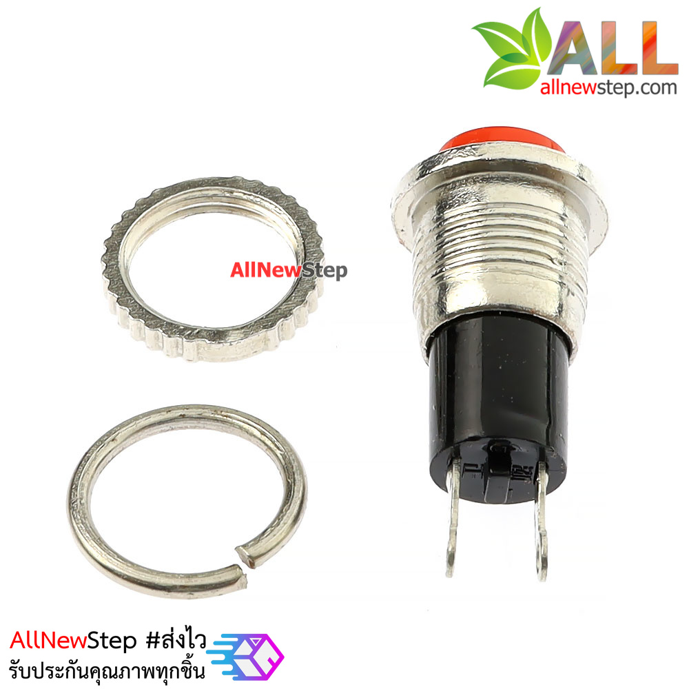 สวิตช์กดติดปล่อยดับ รีเซตสวิตช์ DS-316