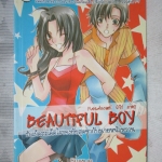 BEAUTIFUL BOY รักเผ็ดสะเด็ดใจของยัยสุดซ่ากับนายหน้าหวาน แต่งโดย ซิงเหมย
