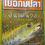 นิตยสาร เย่อกับปลา ฉบับที่136 ปี2552 ปลาพลวง