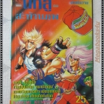 การ์ตูนเก่านักสู้สะท้านภพ เล่มเดียวจบ