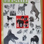 นิตยสารสารคดี ฉบับที่214 ปี2545 ฉบับ หมาสมัยใหม่ MODERN DOG