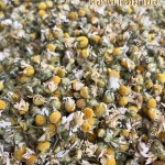 ชาดอกคาโมมาย ชนิดดอกเล็ก (กิโล)