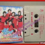 เทปเพลงไทยลูกทุ่ง อัลบั้ม ชัวร์ ชะชะช่า 5