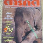 นิตยสารสารคดี ฉบับที่053 กรกฏาคม 2532 ปีที่05 ช้างไทย,ศูนย์ฝึกลูกช้าง,อาหารอีสาน,