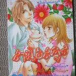 หวานจัง สาวไฮสคูล เล่มเดียวจบ สนพ.หมึกจีน