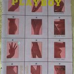 นิตยสารPLAYBOY USE PLAYMATE OF THE YEAR 1971 ฉบับ JUNE 1971