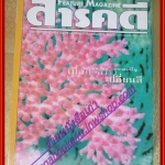 นิตยสารสารคดี ฉบับที่168 ปี2542 ปะการังฟอกขาว ป่าหน่อไม้