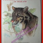 (ฉบับภาษาอังกฤษ) หนังสือภาพสี พืชและสัตว์ที่ใกล้จะสูญพันธุ์ในประเทศไทย โดย สถาบันวิจัยวิทยาศาสตร์และเทคโนโลยีแห่งประเทศไทย (มือสอง) (สภาพ85-95%)