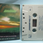 เทปเพลงไทยสากล ฮอทเปปเปอร์ อัลบั้ม 11ปีทองฮอทเปปเปอร์