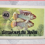 บัตรภาพธนาคารออมสิน ชุดปลาเลี้ยงสวยงาม