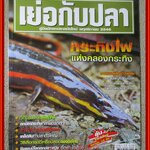 นิตยสาร เย่อกับปลา ฉบับที่070 ปี2546 ปก กระทิงไฟ แห่งคลองกระทิง