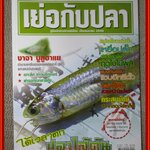 นิตยสาร เย่อกับปลา ฉบับที่087 ปี2548 ปก ได้เวลาตกปลาไส้ตัน