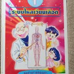 หนังสือรวมความรู้สำหรับเด็ก ชุดร่างกายของเรา 1. ระบบไหลเวียนเลือด ,2. ระบบหายใจ,3. ระบบทางเดินอาหาร 4. ระบบขับถ่ายปัสสาวะ