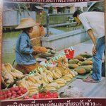 นิตยสารฟ้าเมืองไทย ฉบับ214 ปี2516 แม่ค้าผลไม้ไทย