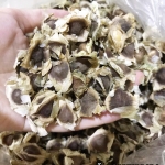 ชามะรุมอบแห้ง (กิโล)