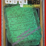 ต่วย'ตูนพิเศษ ฉบับ248 ปี2538 ตำหนิ สภาพเก่าหน่อย มุมกระดาษมีรอยพับ