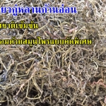 เจียวกู่หลานคัดพิเศษ ก้านอ่อนแท้100% (1 กก.)