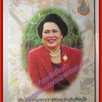 ต้นไม้มงคลพระราชทานประจำจังหวัด 72พรรษา พฤกษามหาราชินี ปี2547