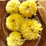 ดอกเก๊กฮวยสีเหลืองแบบบาน (สวยหอม)