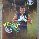 หนังสือ แม่ไม้มวยไทย หลักสูตรมวย 9 ขั้น MUAYTHAI 9 LEVELS