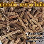 ปอกะบิดเกลียวทอง ตัดก้านแล้ว (กิโล)ไร้ฝุ่น สะอาด ต้มทานได้เลย